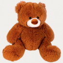 Coco Plush Teddy Bear+unbranded