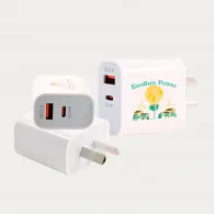 Paramount Wall Charger image