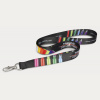 Colour Max Lanyard