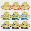 Wide Brim Straw Hat